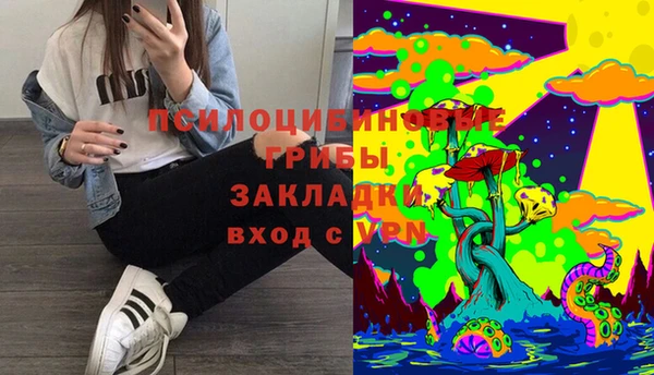 эйфоретик Арсеньев