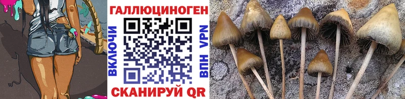 Галлюциногенные грибы Magic Shrooms  Павлово 