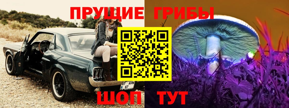 Псилоцибиновые грибы прущие грибы Павлово