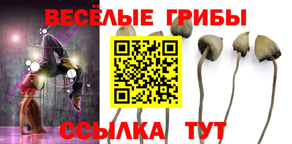 Псилоцибиновые грибы Magic Shrooms  Вход с VPN  Псилоцибиновые грибы мицелий  Павлово 